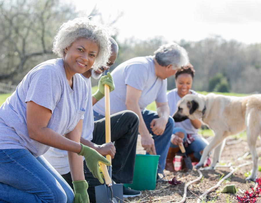 New-LifeConnect-Webpage-(10)